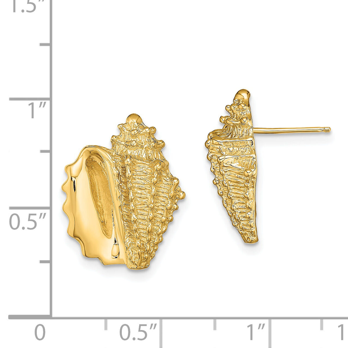 14K 2-D Conch Shell Post Earrings-TE822