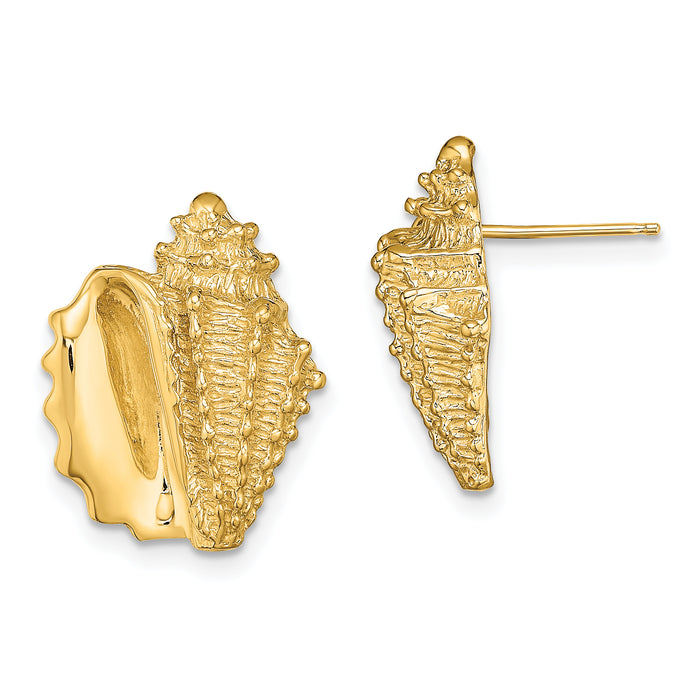 14K 2-D Conch Shell Post Earrings-TE822