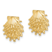 14K Lion's Paw Shell Post Earrings-TE831
