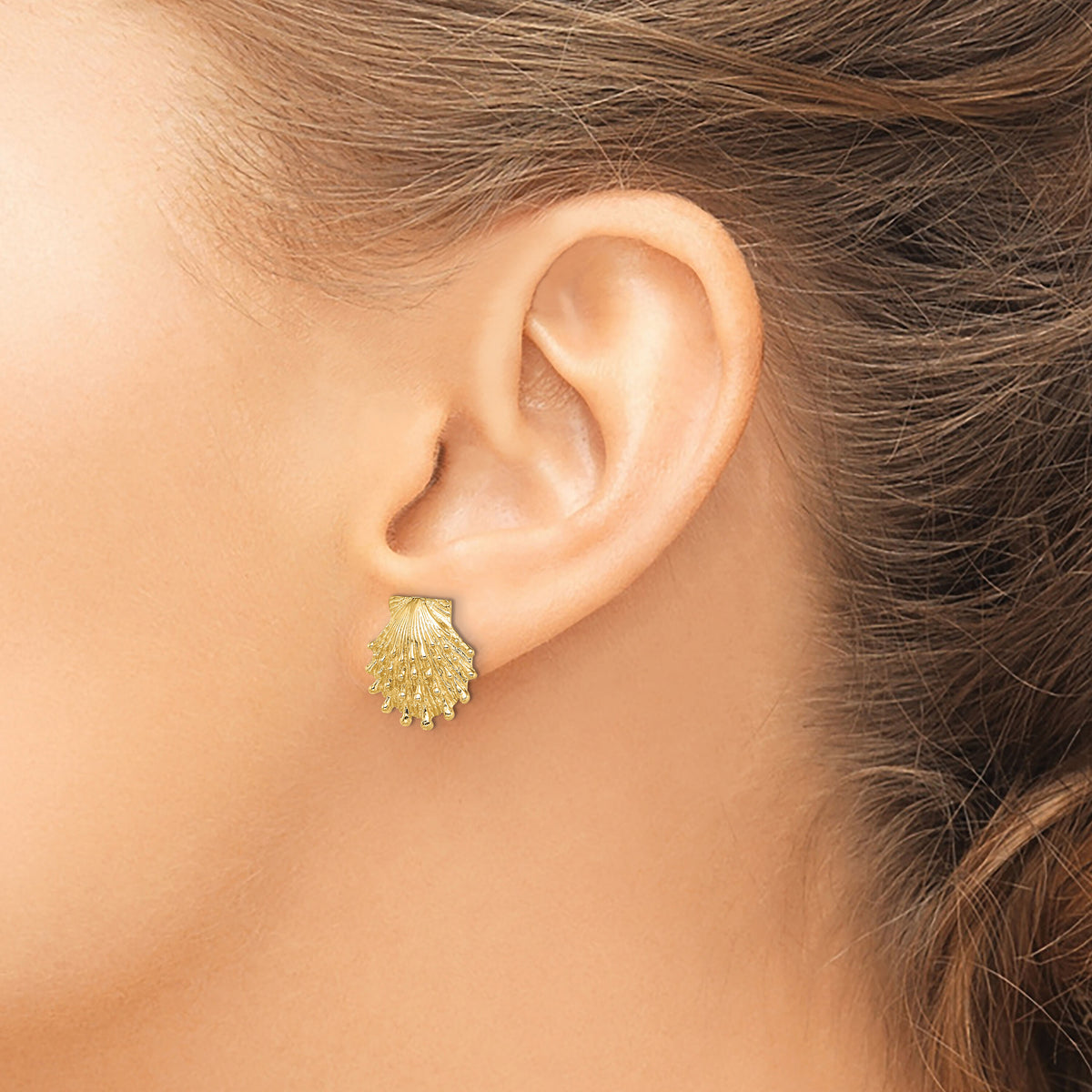 14K Lion's Paw Shell Post Earrings-TE831