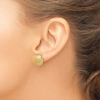 14K Lion's Paw Shell Post Earrings-TE831