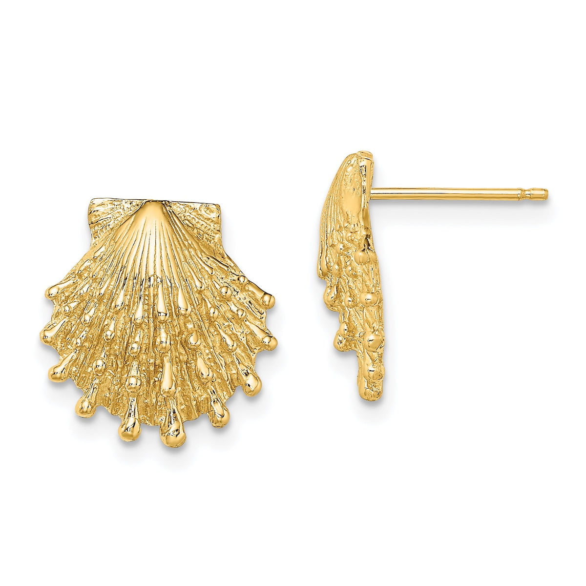 14K Lion's Paw Shell Post Earrings-TE831