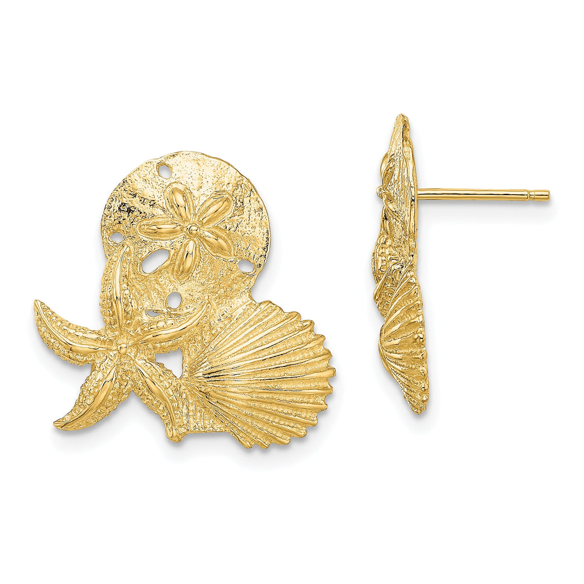 14K Sand Dollar, Starfish, ,Scallop Cluster Post Earrings-TE837