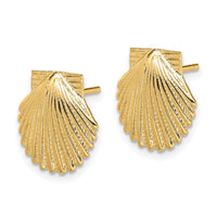 14K 2-D Polished Scallop Shell Post Earrings-TE839