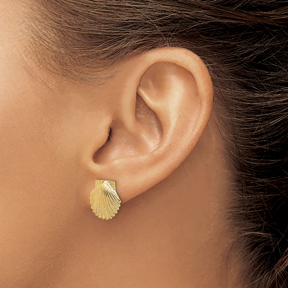 14K 2-D Polished Scallop Shell Post Earrings-TE839