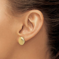 14K 2-D Polished Scallop Shell Post Earrings-TE839