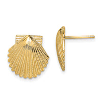 14K 2-D Polished Scallop Shell Post Earrings-TE839