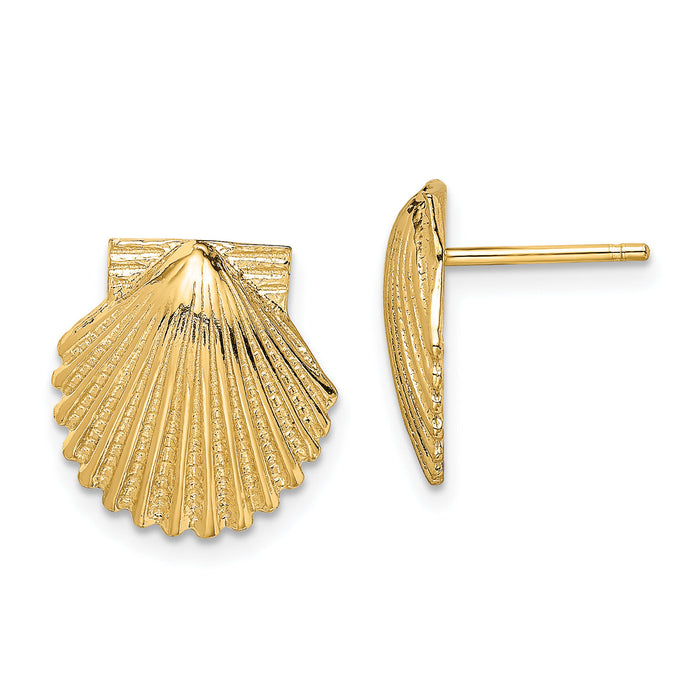14K 2-D Polished Scallop Shell Post Earrings-TE839