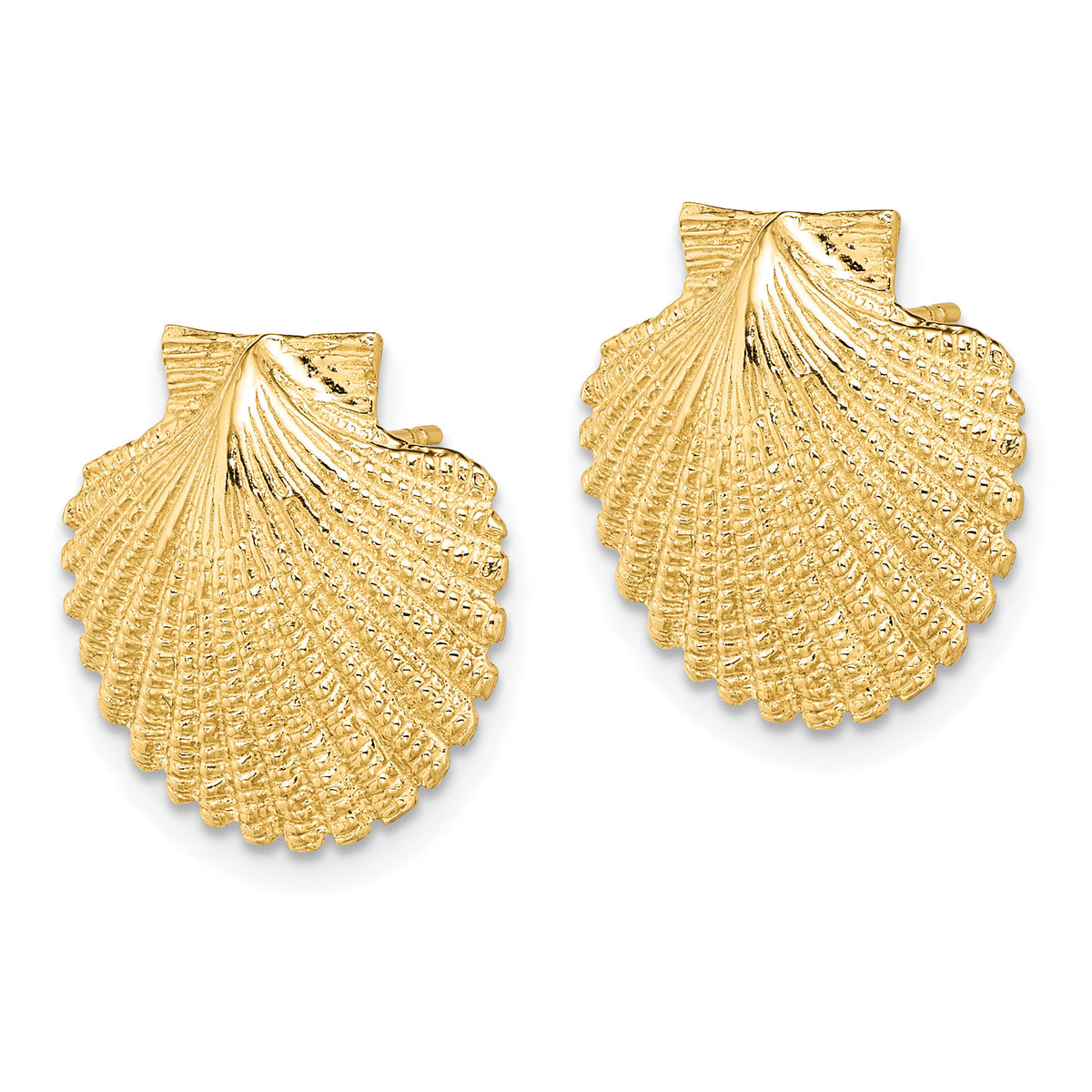 14K 2-D Textured Scallop Shell Post Earrings-TE840