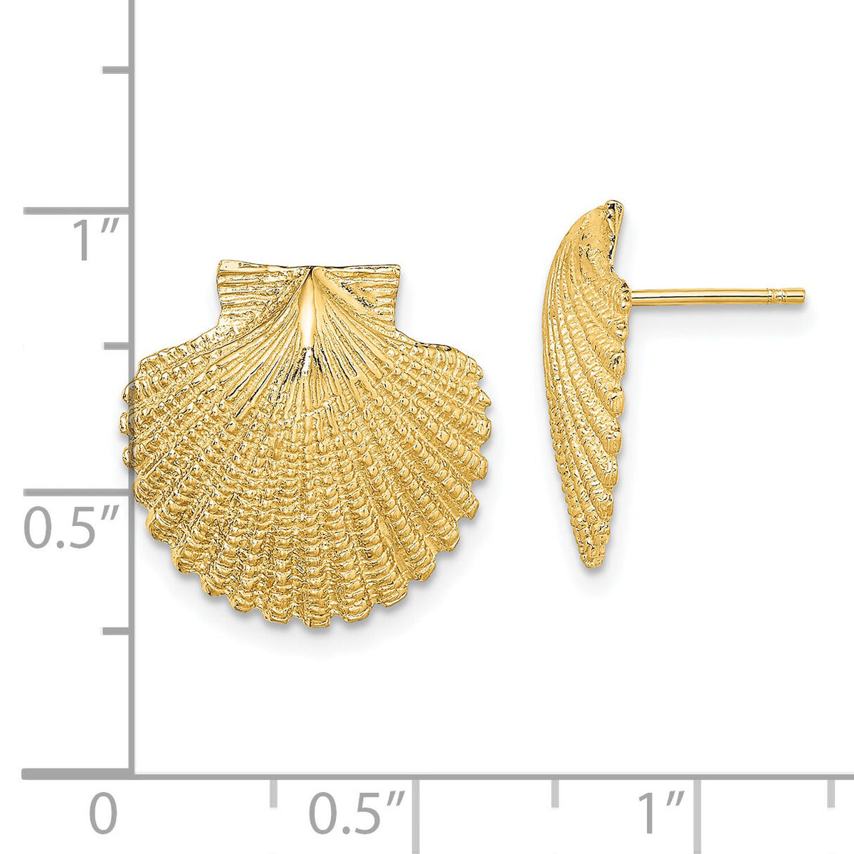 14K 2-D Textured Scallop Shell Post Earrings-TE840