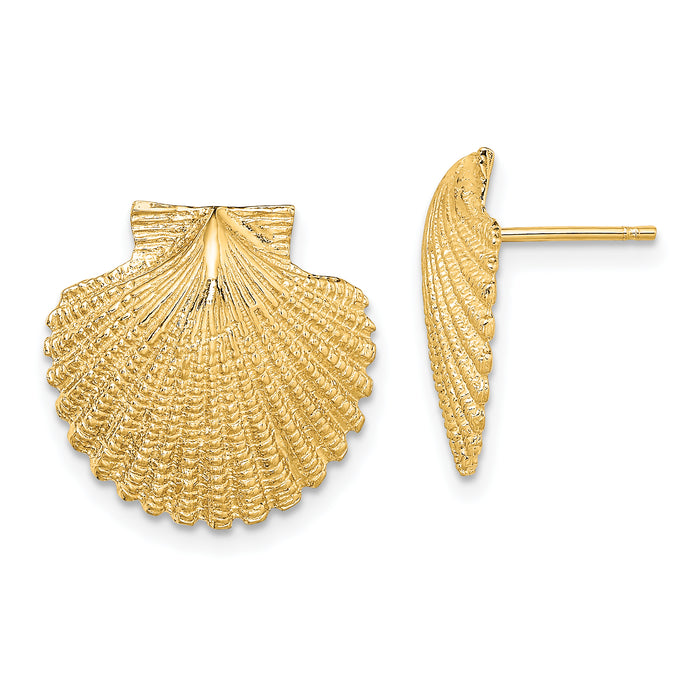 14K 2-D Textured Scallop Shell Post Earrings-TE840