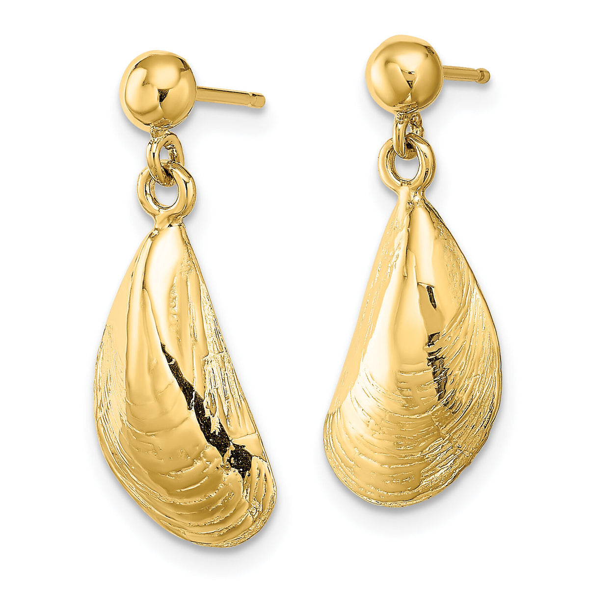 14K Mussel Shell Dangle Earrings-TE853