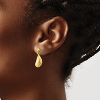 14K Mussel Shell Dangle Earrings-TE853