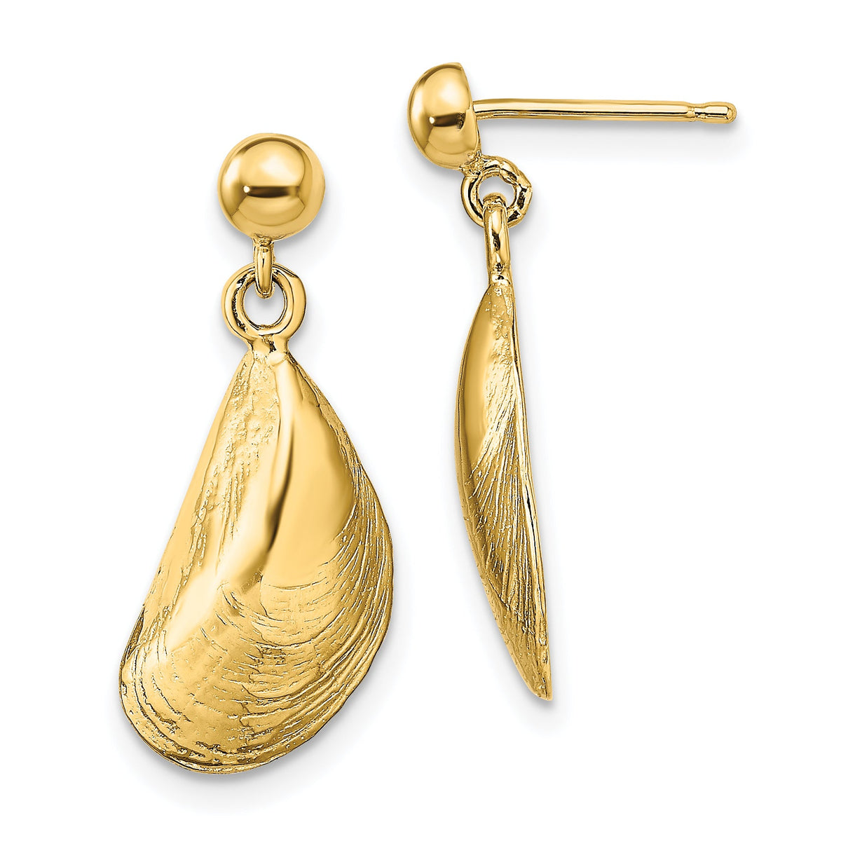 14K Mussel Shell Dangle Earrings-TE853