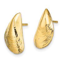14K Mussel Shell Post Earrings-TE854