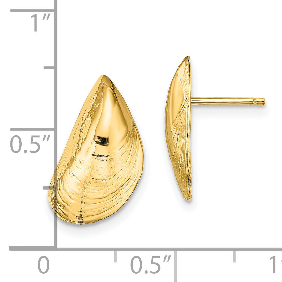 14K Mussel Shell Post Earrings-TE854