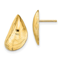 14K Mussel Shell Post Earrings-TE854