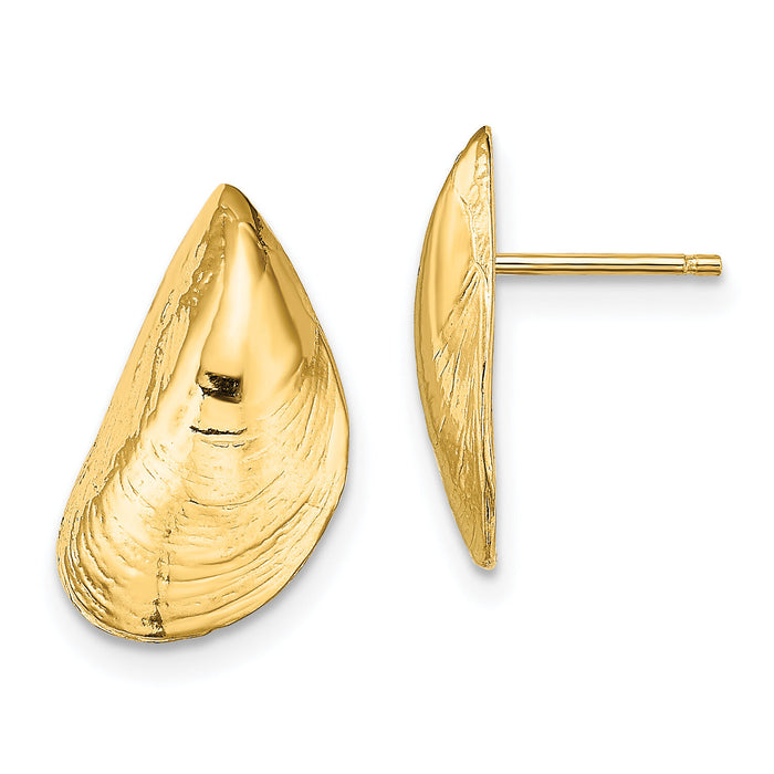 14K Mussel Shell Post Earrings-TE854