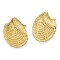 14K 2-D Textured and Polished Clam Shell Post Earrings-TE859