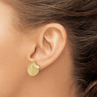 14K 2-D Textured and Polished Clam Shell Post Earrings-TE859