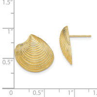 14K 2-D Textured and Polished Clam Shell Post Earrings-TE859