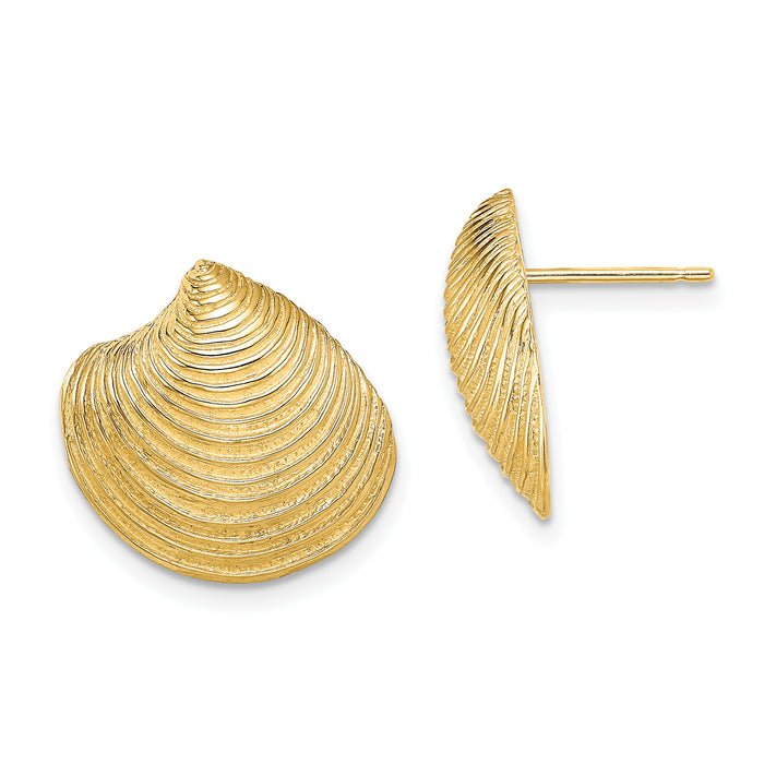 14K 2-D Textured and Polished Clam Shell Post Earrings-TE859