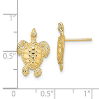 14K Polished and Textured Sea Turtle Post Earrings-TE862