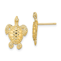 14K Polished and Textured Sea Turtle Post Earrings-TE862