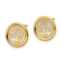 14k Polished Tree of Life in Circle Post Earrings-TE972