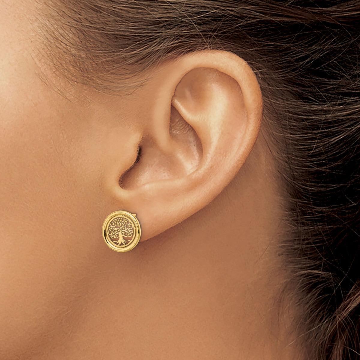 14k Polished Tree of Life in Circle Post Earrings-TE972