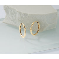 14k Gold Polished Faceted 2.5mm Hoop Earrings-TF1008