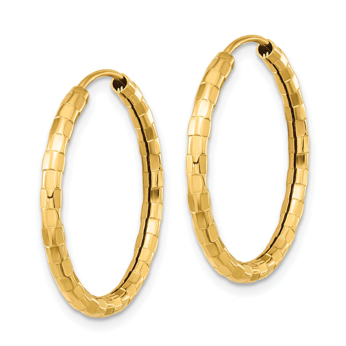 14k Gold Polished Faceted 2.5mm Hoop Earrings-TF1009