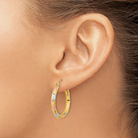 14k w/White and Rose Rhodium Polished Satin Diamond-cut Hoop Earrings-TF1019