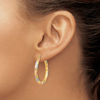 14k w/ White and Rose Rhodium Polished Satin Diamond-cut Hoop Earrings-TF1020