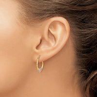 14k Two-tone w/White Rhodium Polished Satin & D/C Hoop Earrings-TF1237