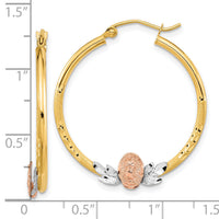 14K Tri-color Guadalupe Hoop Earrings-TF1270