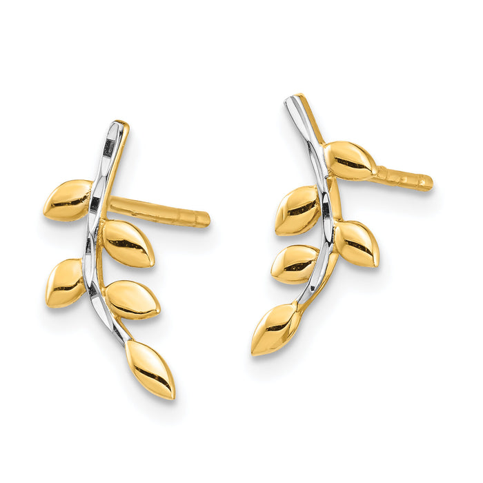 14K & White Rhodium Leaves Post Earrings-TF1549