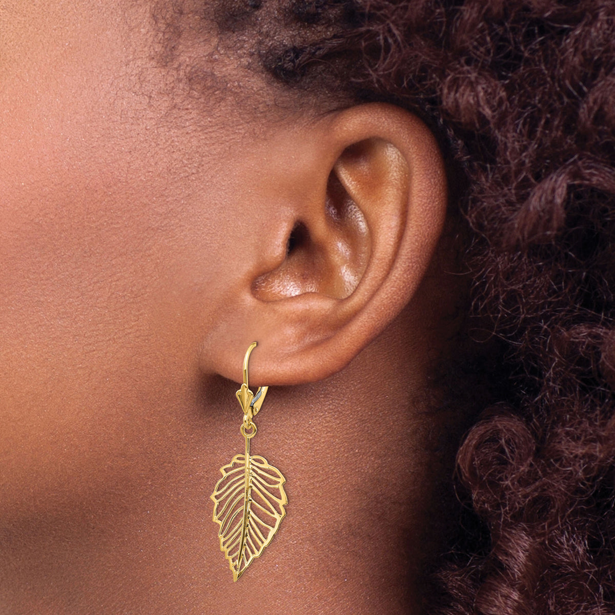 14K Polished Leaf Leverback Earrings-TF1554