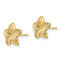 14K Polished & Textured Plumeria Post Earrings-TF1558