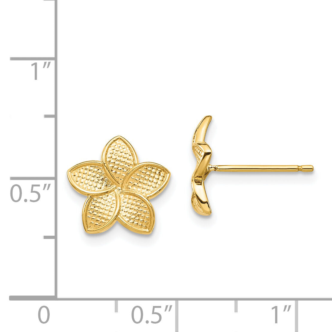 14K Polished & Textured Plumeria Post Earrings-TF1558