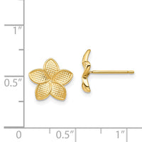 14K Polished & Textured Plumeria Post Earrings-TF1558