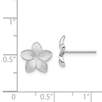 14K White Polished & Textured Plumeria Post Earrings-TF1564