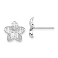 14K White Polished & Textured Plumeria Post Earrings-TF1564
