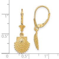 14K 2-D Beaded Scallop Shell Leverback Earrings-TF1813