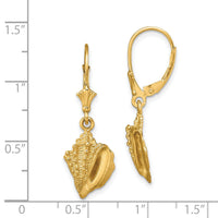 14K Conch Shell Leverback Earrings-TF1815