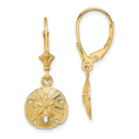14K Polished Sand Dollar Leverback Earrings-TF1816
