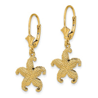 14K 2-D Puffed Starfish Leverback Earrings-TF1817