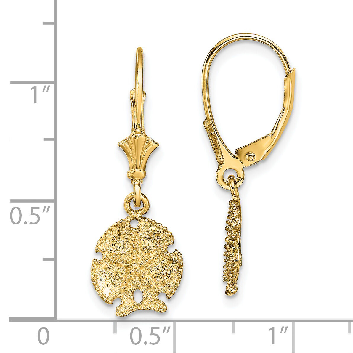 14K Sand Dollar W/Star Leverback Earrings-TF1826