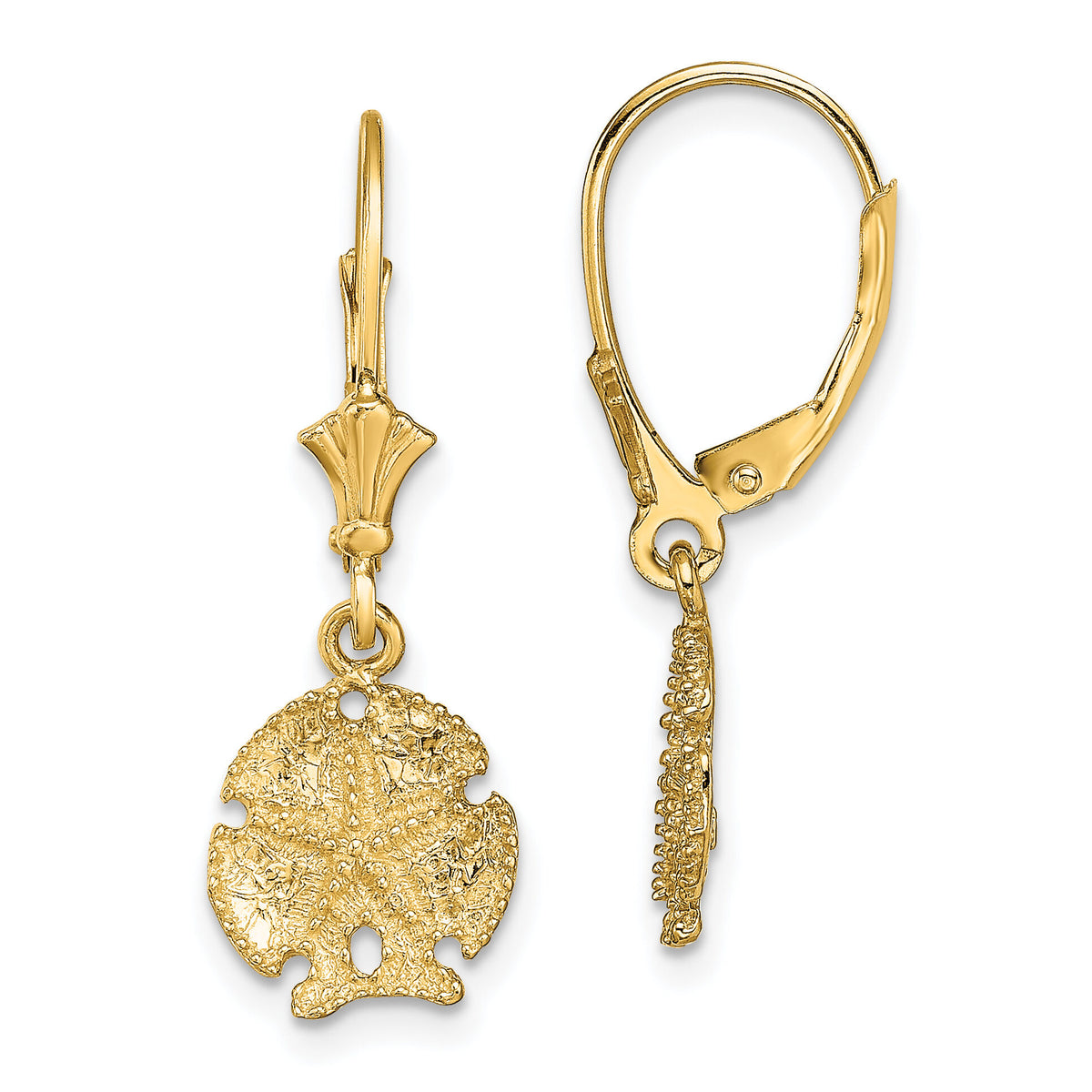 14K Sand Dollar W/Star Leverback Earrings-TF1826