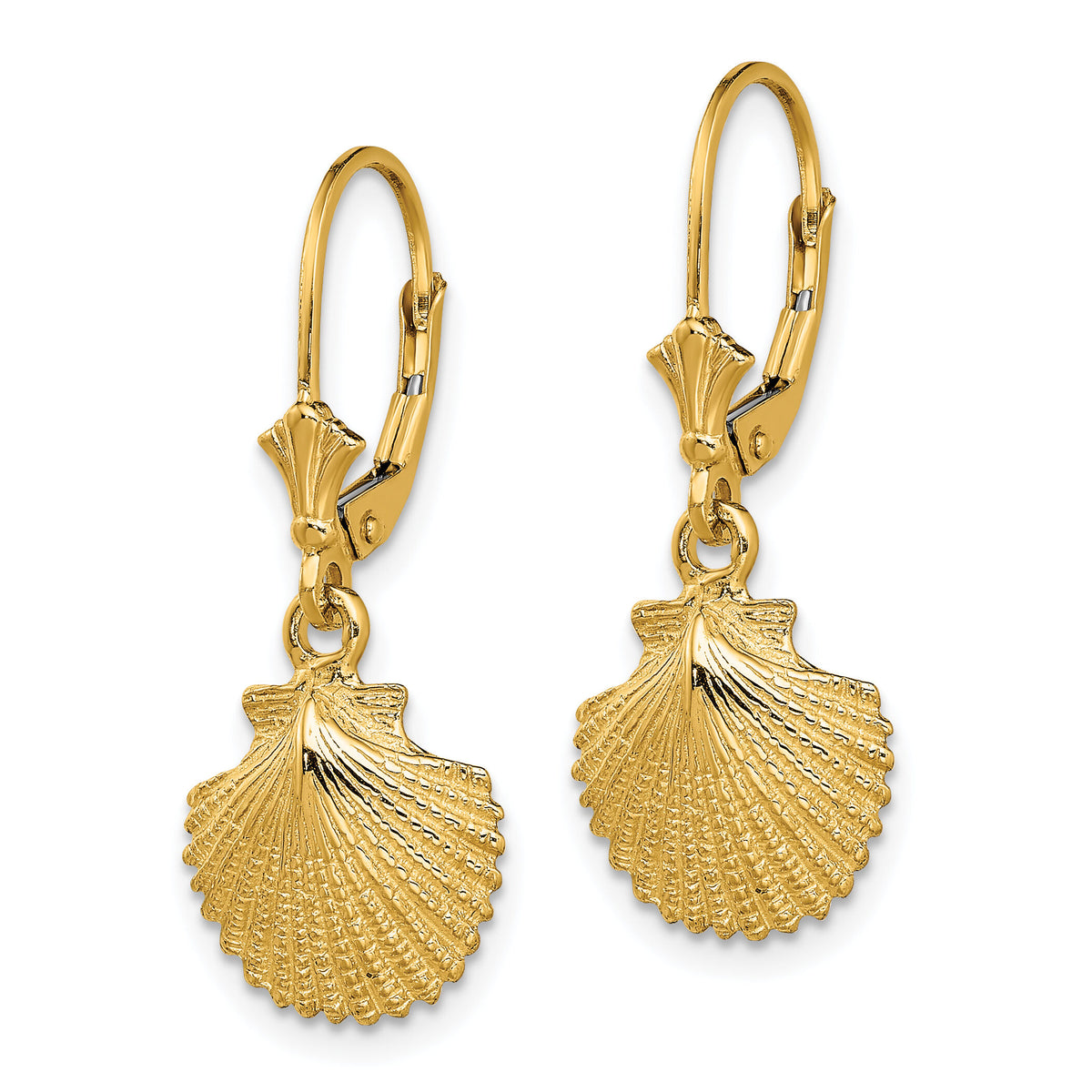 14K 2-D and Textured Scallop Shell Leverback Earrings-TF1838